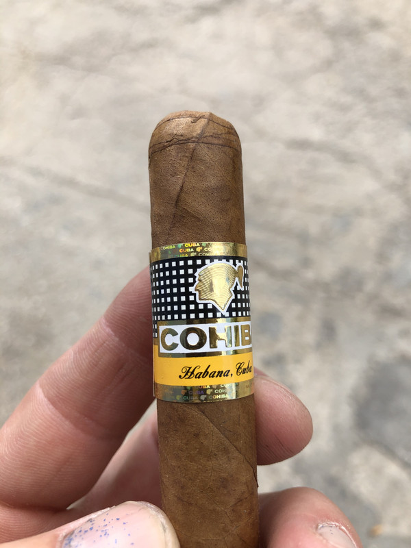 139B06A3-CF7A-4147-88FE-956599F3A92A