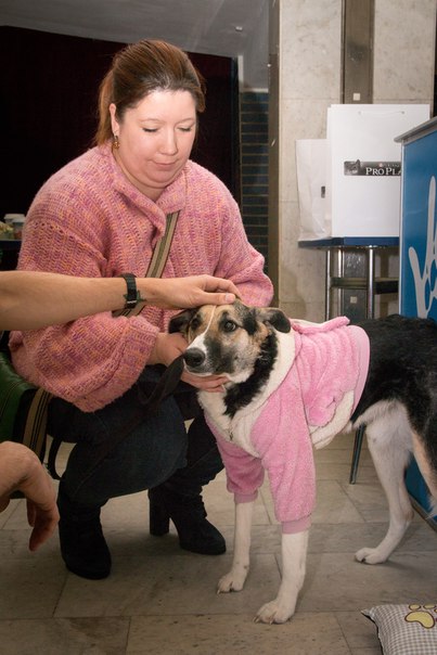 45DA9CBE-1BC8-4263-BC04-BD74F8392BFF