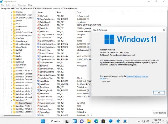 Windows 11 Pro 21H2 Build 22000.1219 x64 En-Us No TPM Required November 2022