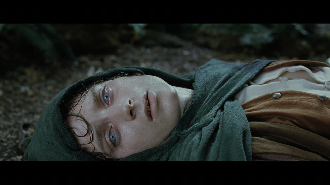 The Lord of the Rings- The Fellowship of the Ring (EXT.) PT. 1.mkv_snapshot_01.18.49_[2020.12.05_22.