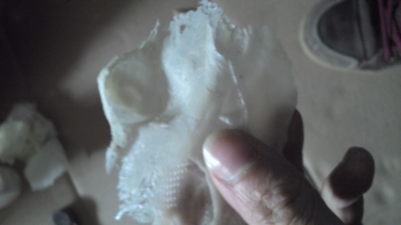 IMG_20130320_133256_372