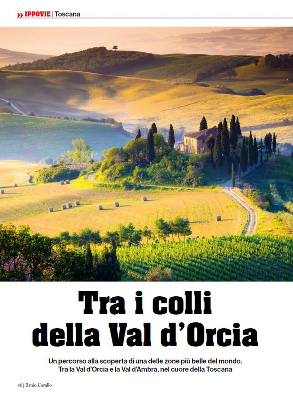 Il Mio Cav (Mar-Apr 2024) 11