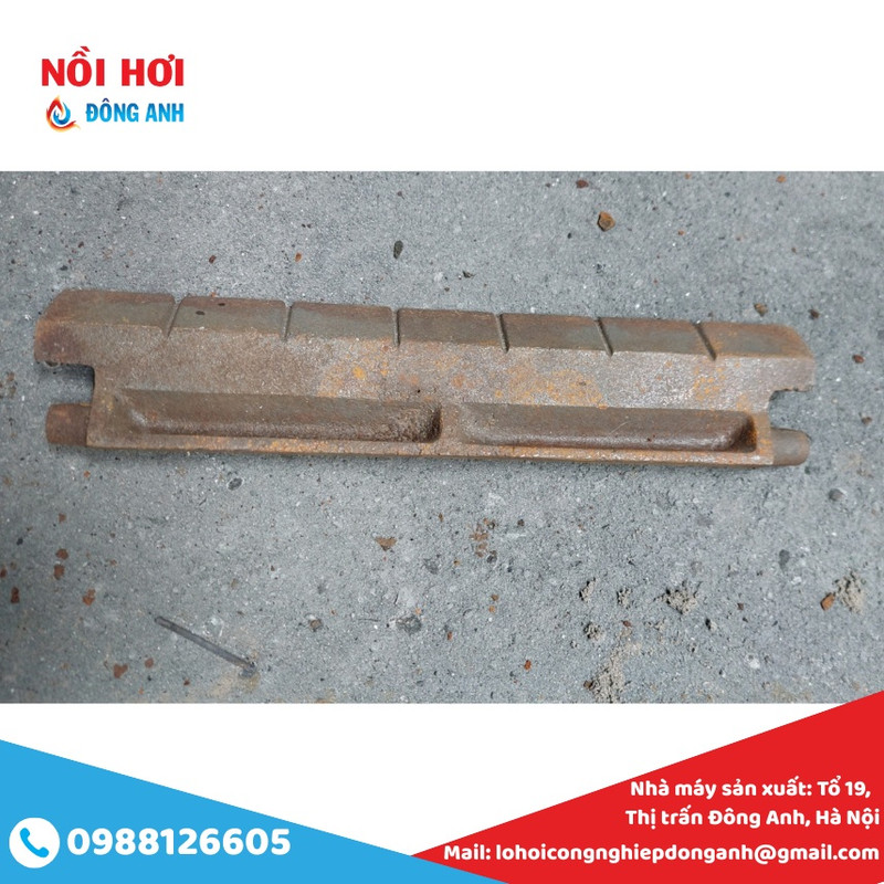 lá ghi vẩy cá