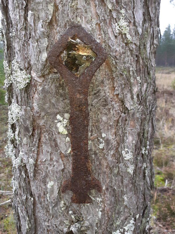 20211030_114733 – kopio