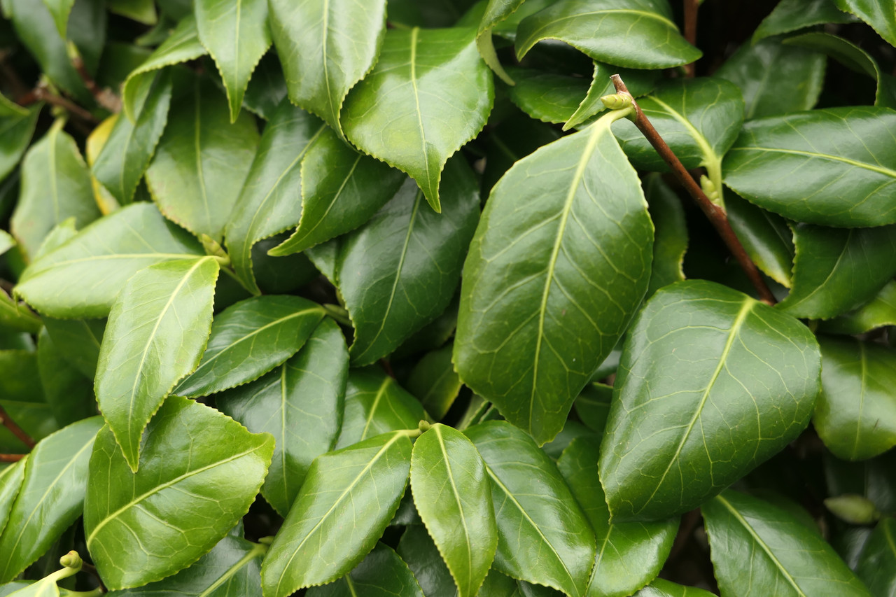 P1040280