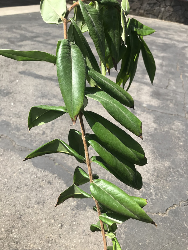 298AE385-E58C-4ABF-8387-9F45787DA7A6