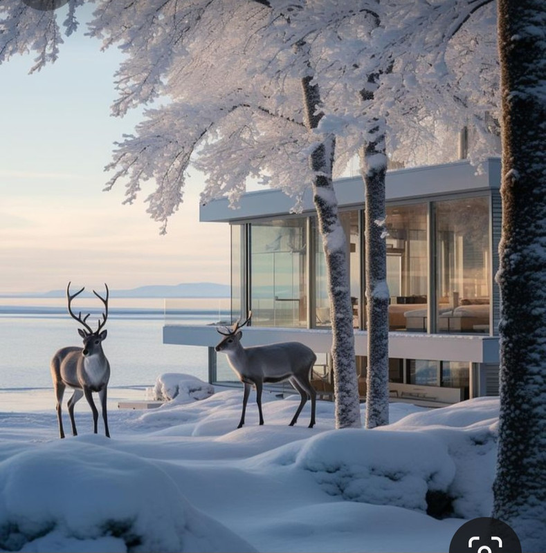 Screenshot_20231124_231540_Pinterest