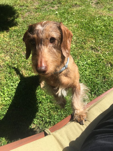 [Image: 5-EB194-A2-2-D08-4-F25-B05-E-26-B736-C15-FE6.jpg]