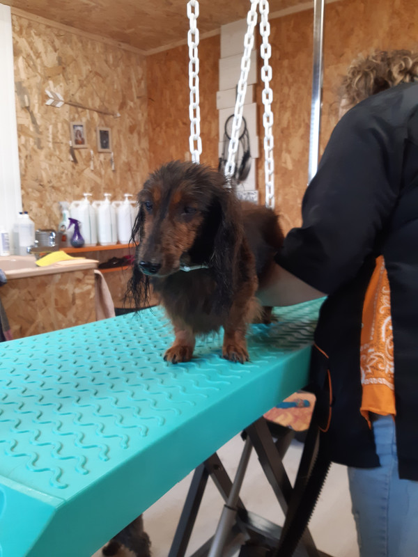 [Image: 20201013-103014.jpg]