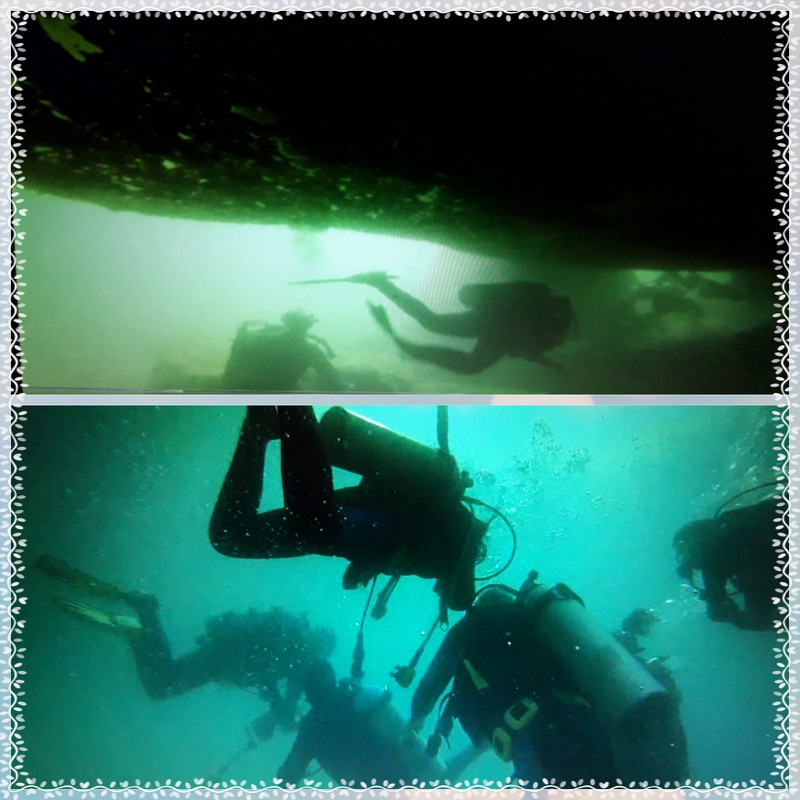 Arraial do Cabo. Playa. Buceo. Maravilloso. - Blogs de Brasil - Lunes 17 al sábado 22 de junio (17)