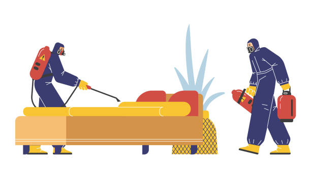 Bed-Bug-Treatment-9.jpg