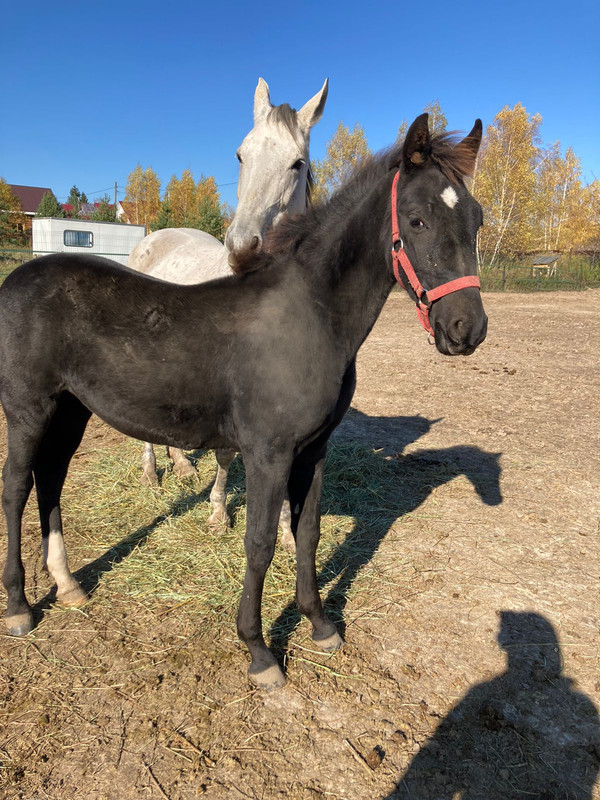 WhatsApp Image 2022-10-17 at 11.20.05 (1)