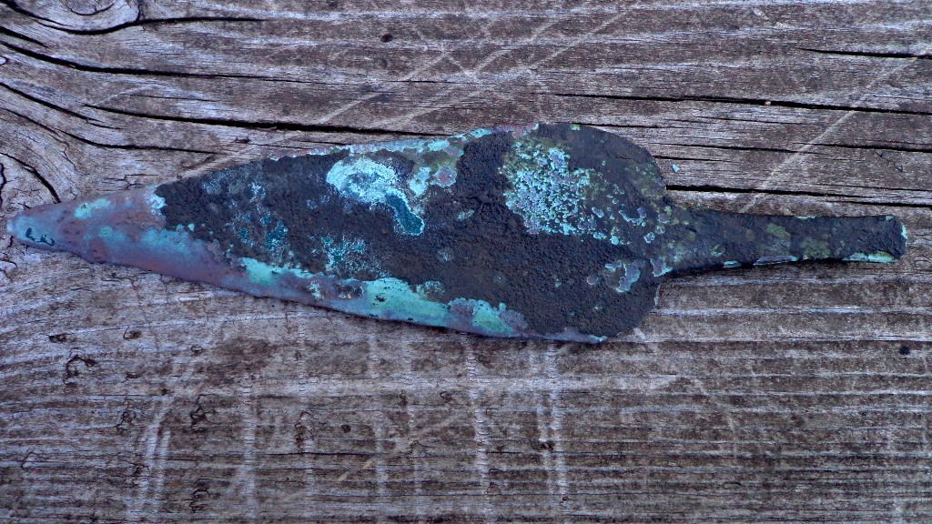DSC01317