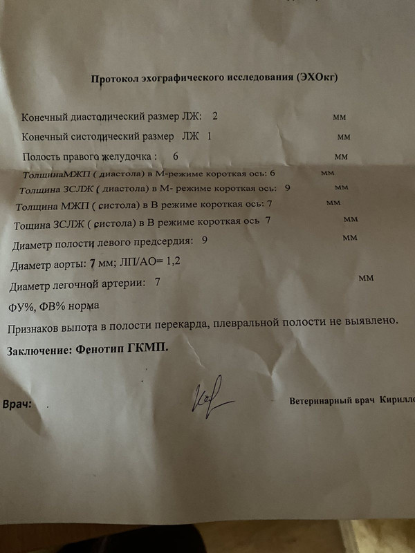 изображение_viber_2021-10-28_12-29-03-097