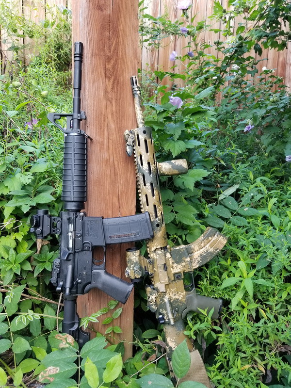 [Image: 20230907_014340.jpg]