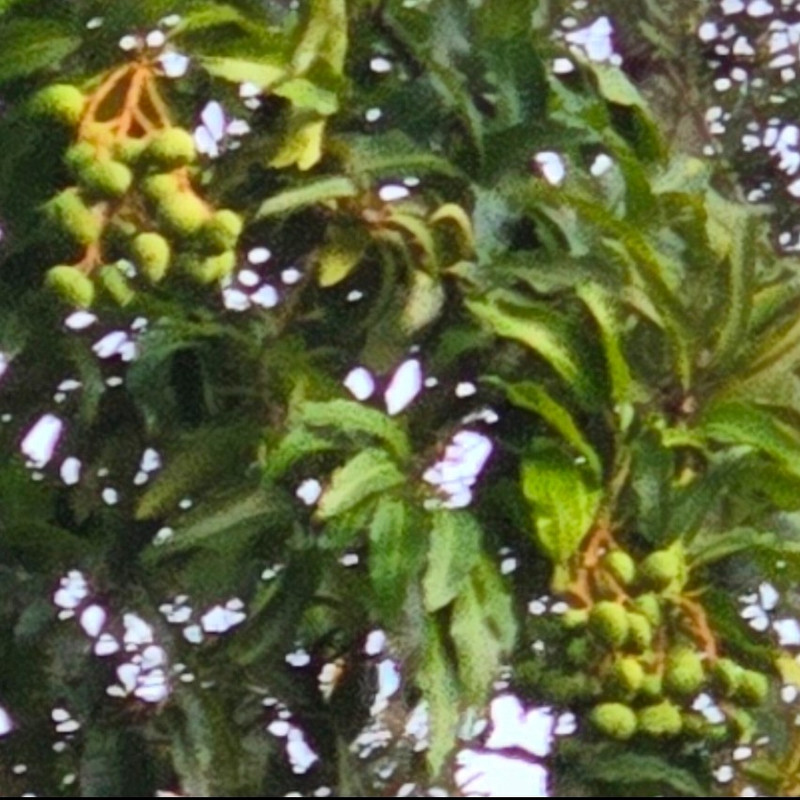 Screenshot 20251231 210644 Yahoo Mail 2