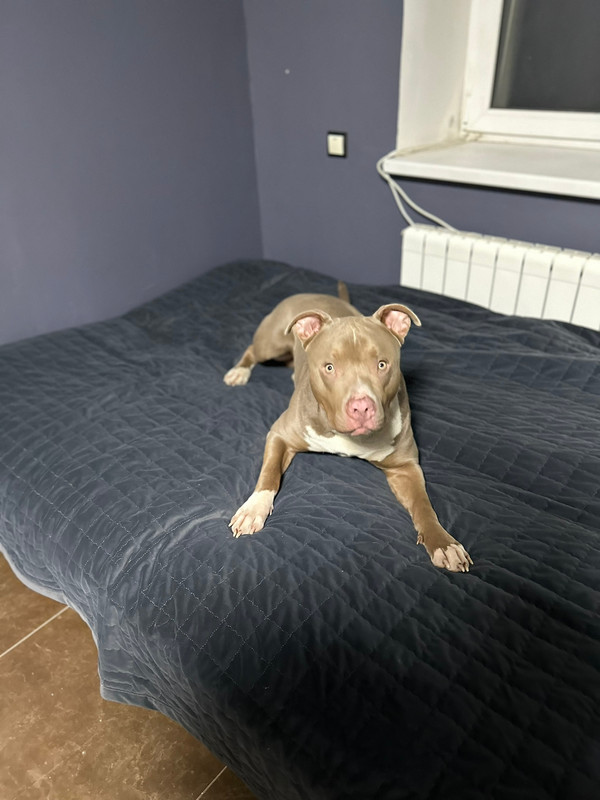 ECDD12D7-19CD-4FAA-A1D9-15C158617EF6