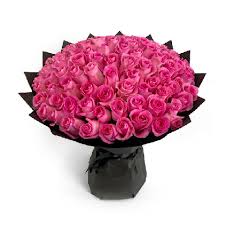 100 pink roses