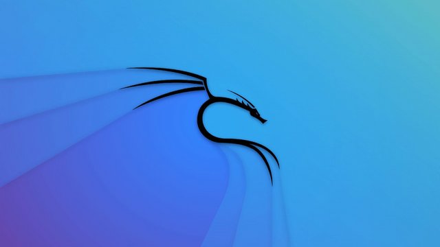 Kali Linux and Windows Hacking and Security  IT SEC