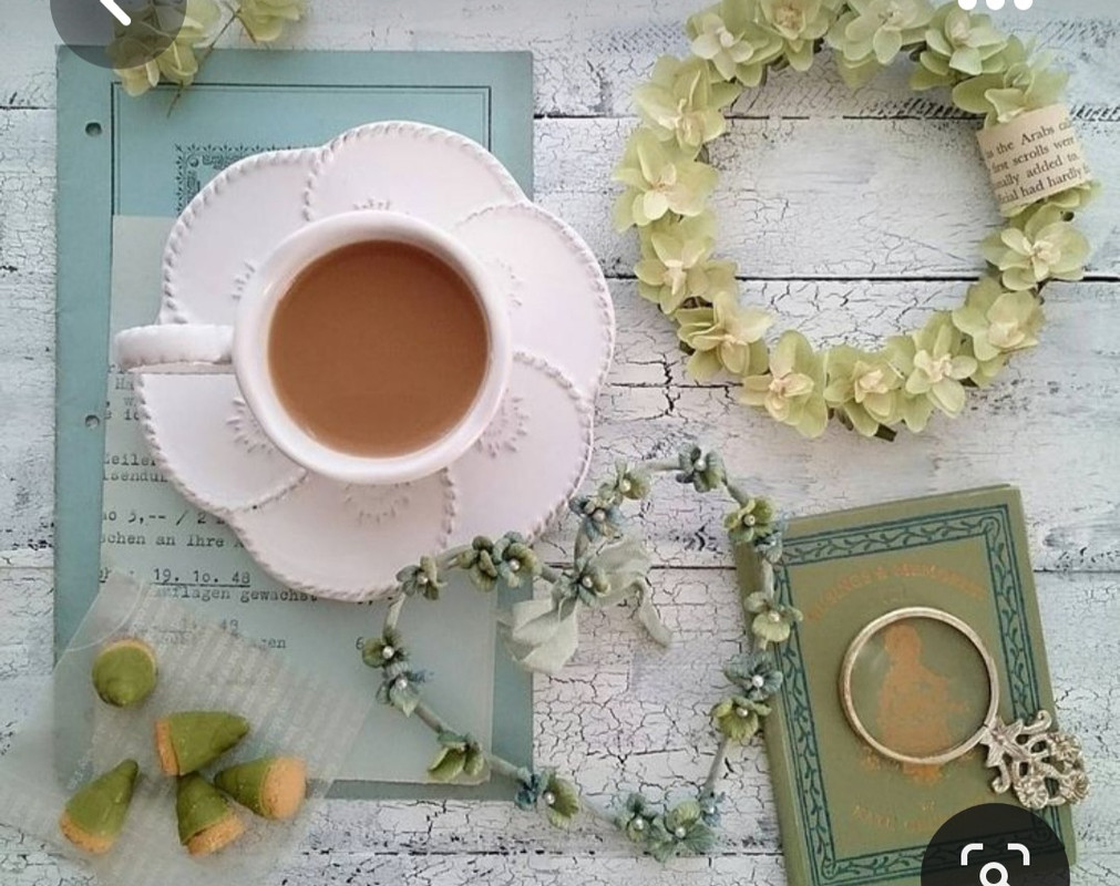 Screenshot_20230228_000155_Pinterest