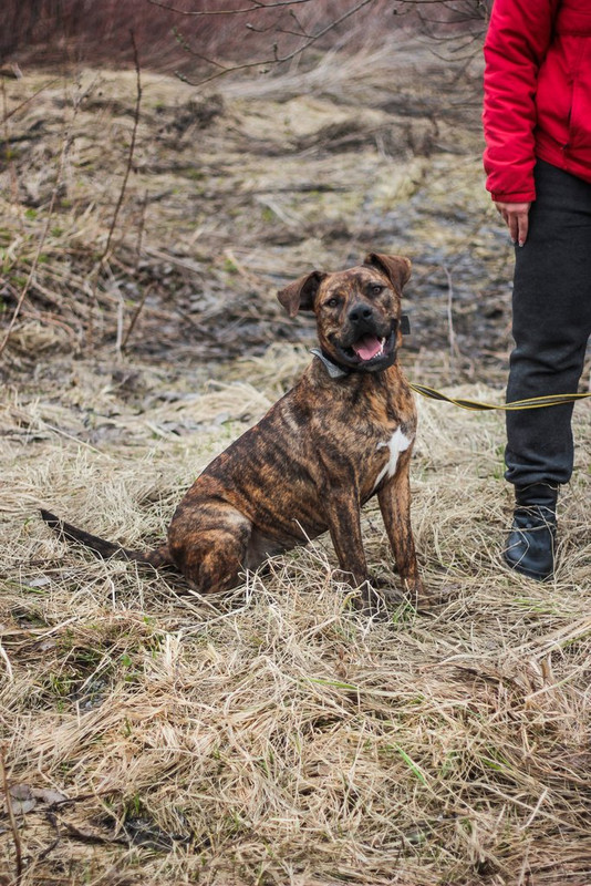 без имени-0121