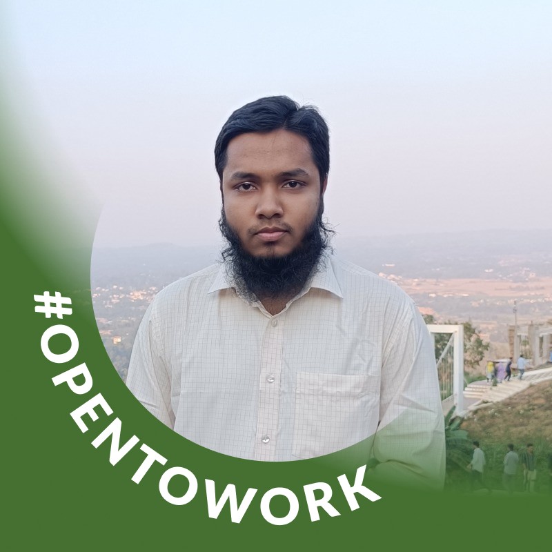 Md Mobashirul Alam Seam