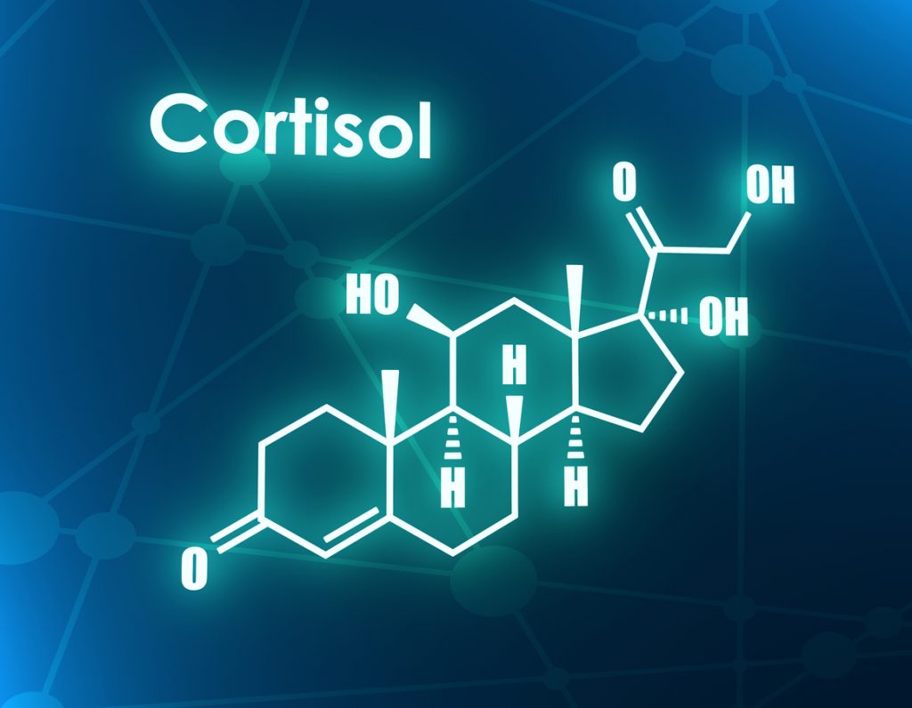 https://i.postimg.cc/V6gQkNg4/cortisol.jpg