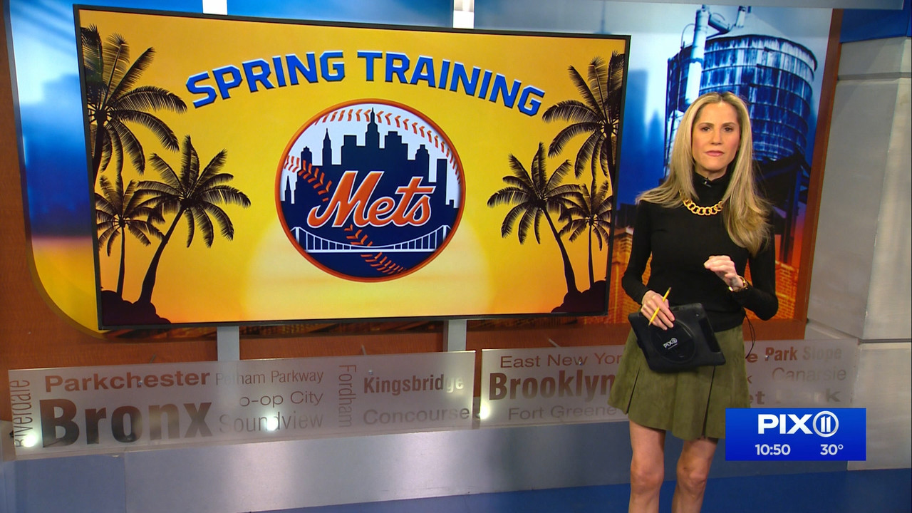 03.05 - 03.00.00 - PIX11 News at 10 with Tamsen Fadal and Kori Chambe....ts_snapshot_11.53.229