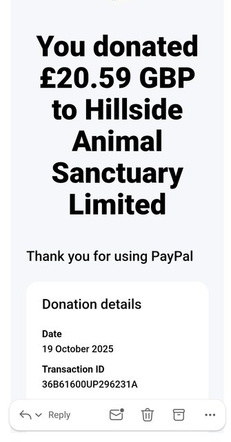 Screenshot_20251019_230819_Outlook