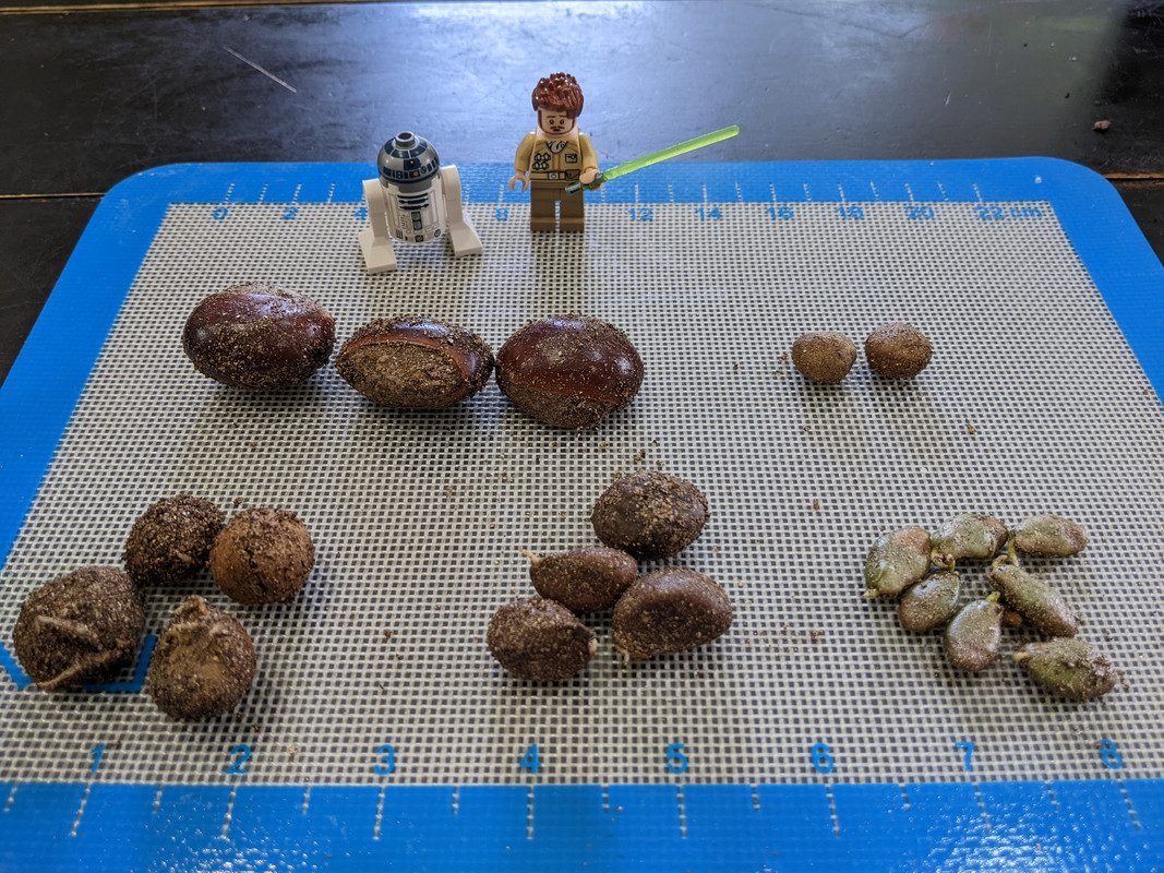 PXL_20230615_194632380