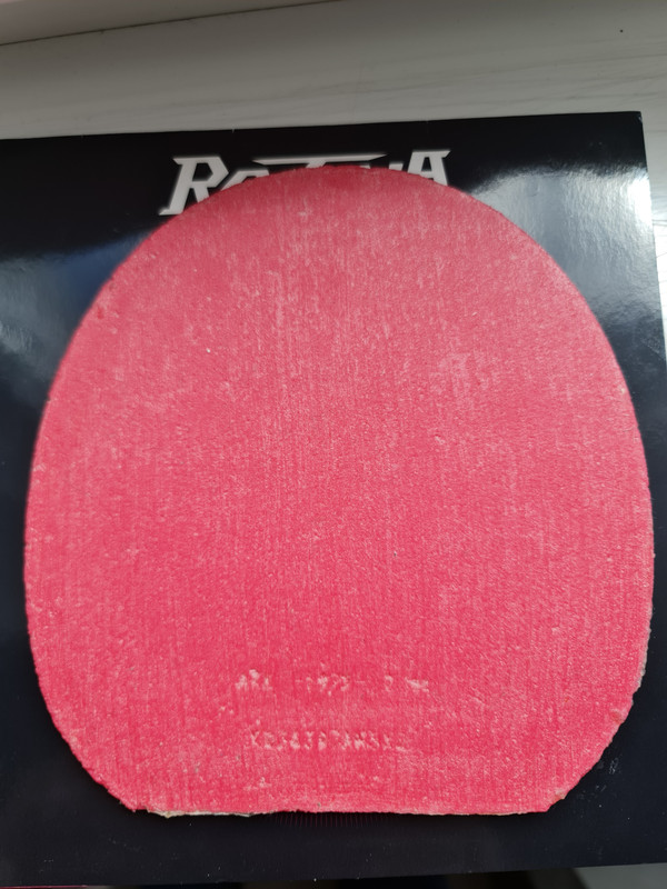 14. BTY ROZENA NEGRU 2.1 (1)