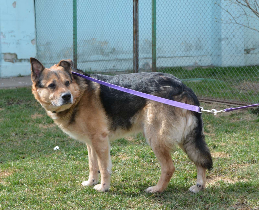 3AFB775E-D34F-481C-82E9-31FC382CFFFE