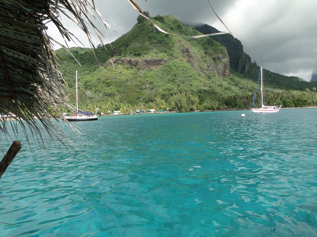 Polinesia, nosotros y la visión del paraíso. - Blogs de Polinesia Francesa - 2° Etapa: MOOREA. (22)