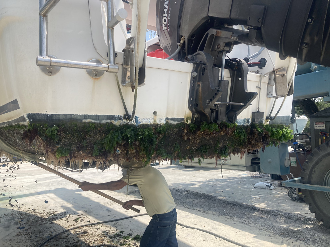 05B6D0F9-1A57-45DE-B89E-DFAF3A8E61C6