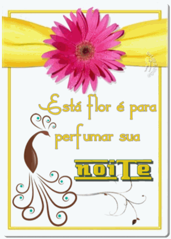 novo403-MB-maryluz-2.gif