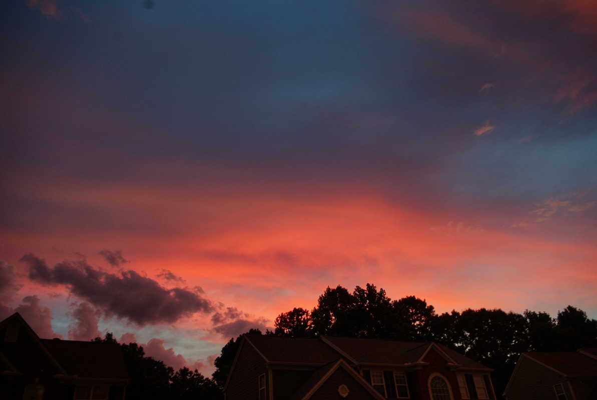 Pink Hour over homes