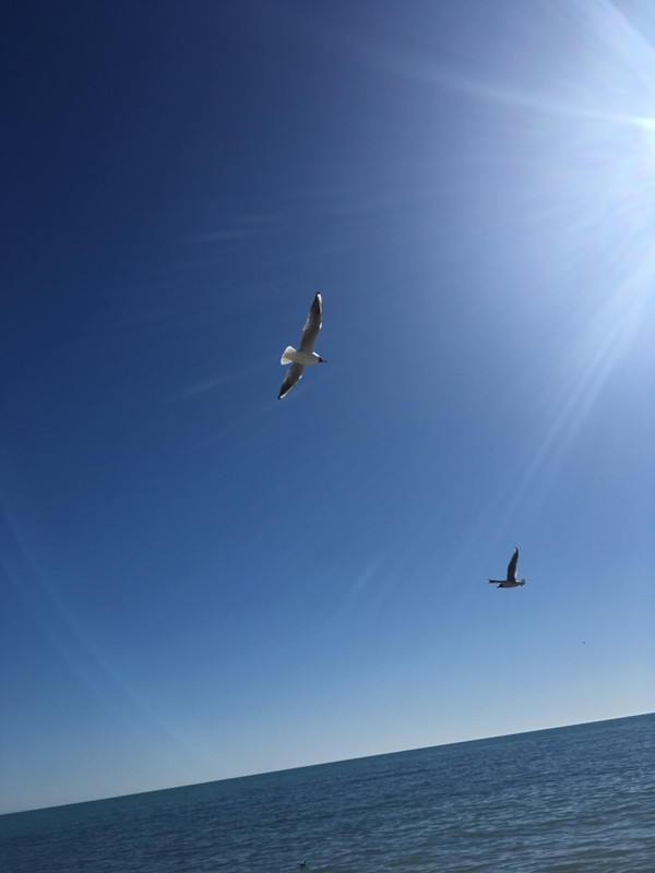 5A53D18F-3A6A-401F-8818-C0B1CEDA038D