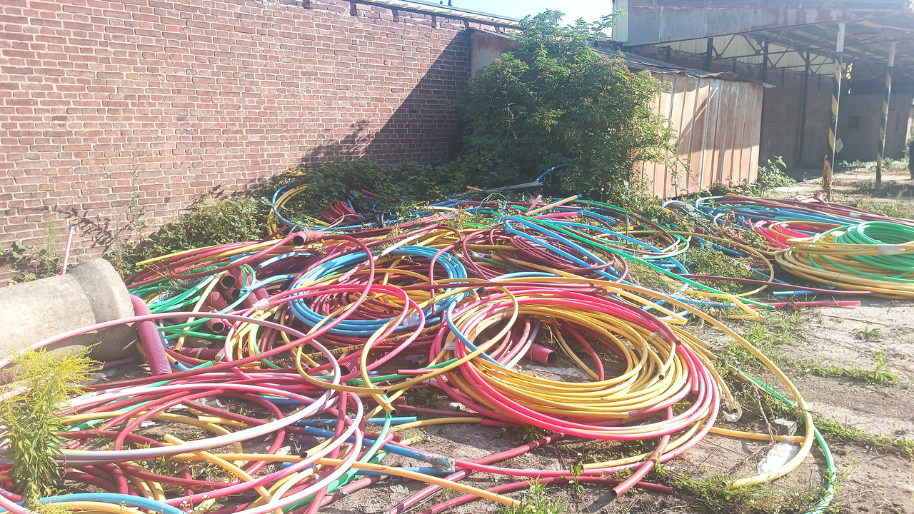 IMG_20250730_083741_550