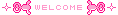 529