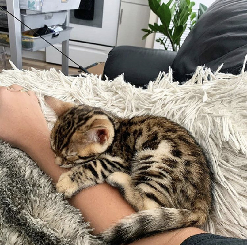 27AE5575-8EFA-4768-A642-74F38D0975E9