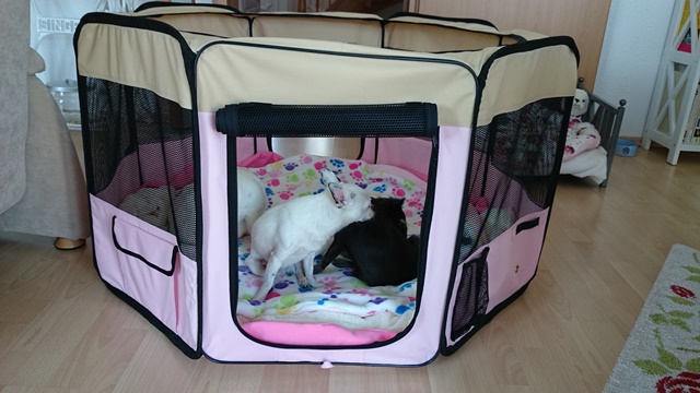 In der Schlafhöhle 1.1