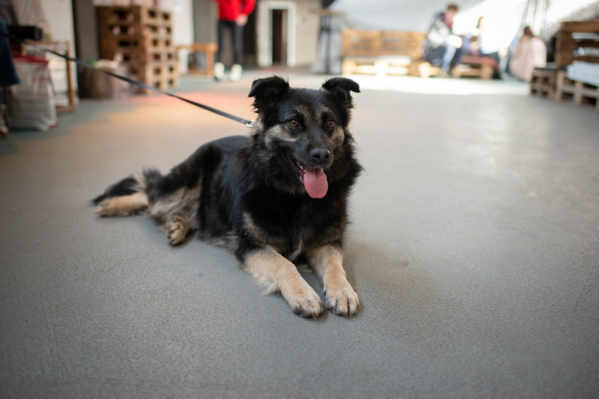 QtBxqT3Mpgmkxs4e_8U8BWsfYhvy1He2PDl1tA6Bywb5_iM2BofgQ-QpqfVsYwAO7spUB6l9DI0hnANOF6675bZf (1)