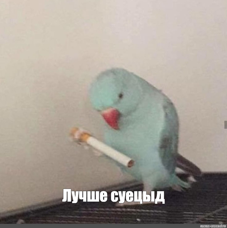 C23B703E-2487-417B-B77F-1BF307DA4B26