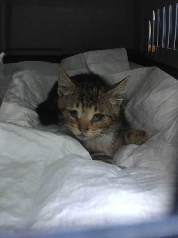 34630FA0-4025-4B00-9205-B38D9A0E9C9B