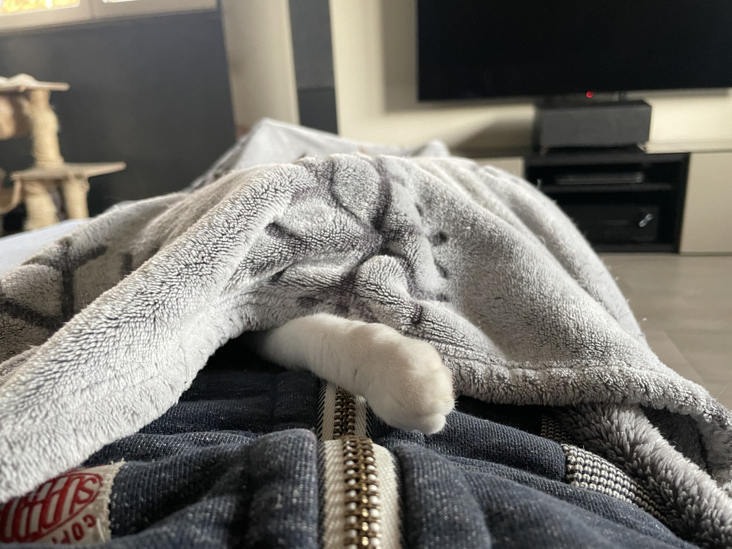 F362D8CA-7357-4690-B25F-801F9EA61918