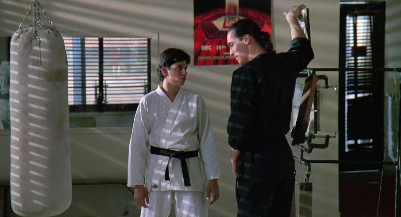 The Karate Kid Part III 1989 BluRay [Hindi + English] 480p, 720p Screenshot