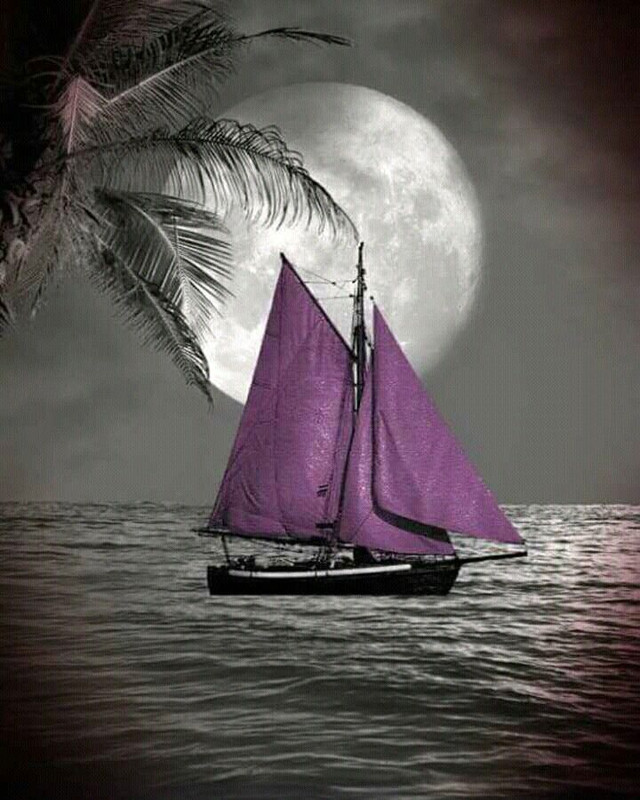 Purpleboat.jpg