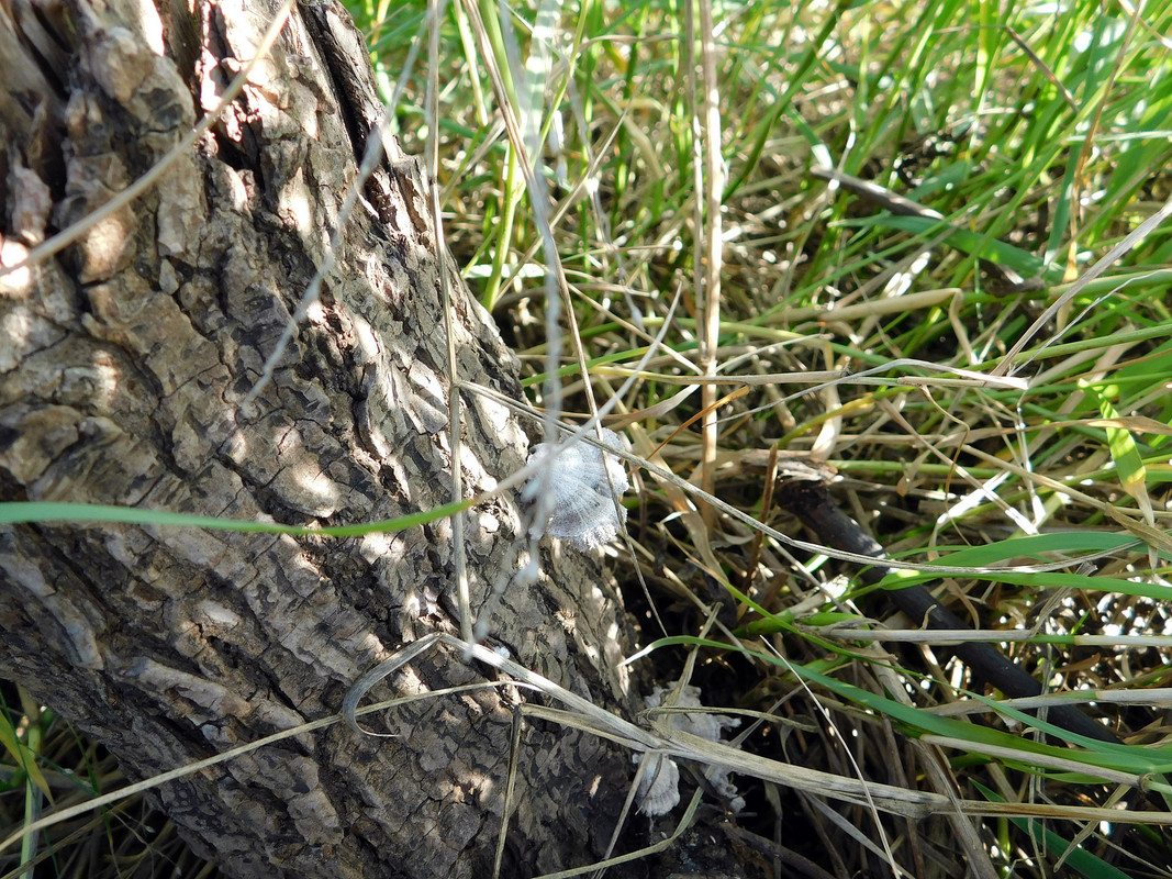 DSCN0034.jpg