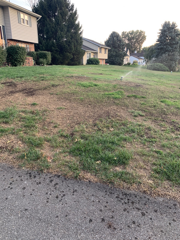 4B26DF3A-E971-45CF-B3B7-4093C1502123