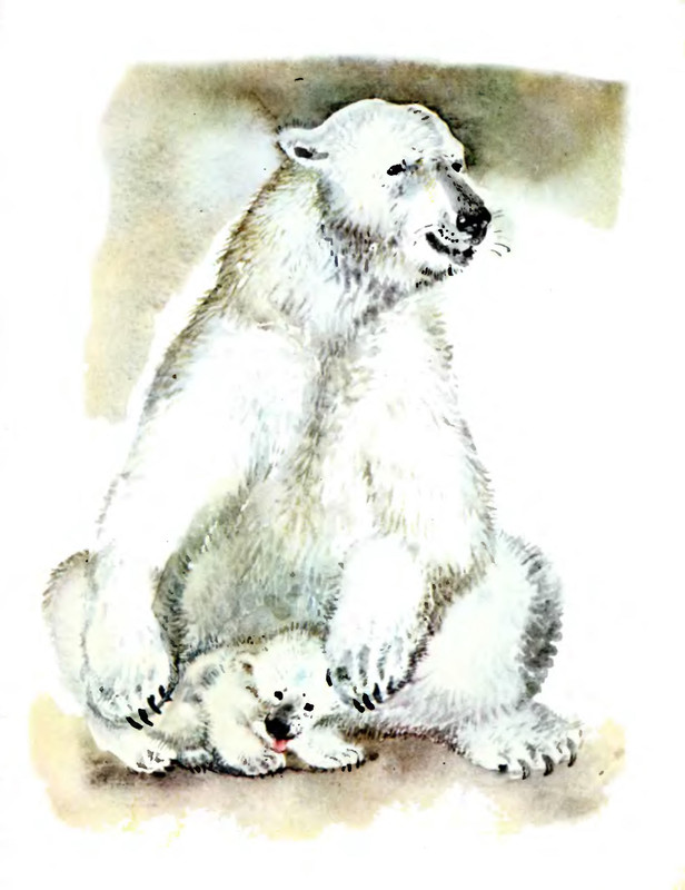 p0005